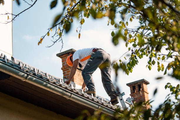 Best Roof Gutter Cleaning  in Forest City, NC